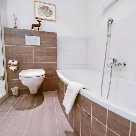 Casa Florea Apartment *